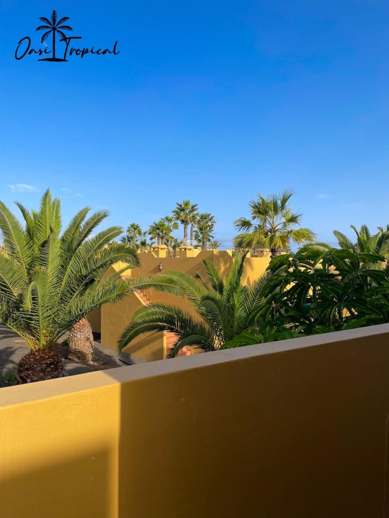 Apartamento Oasi Tropical Wifi Free By Rentalfue